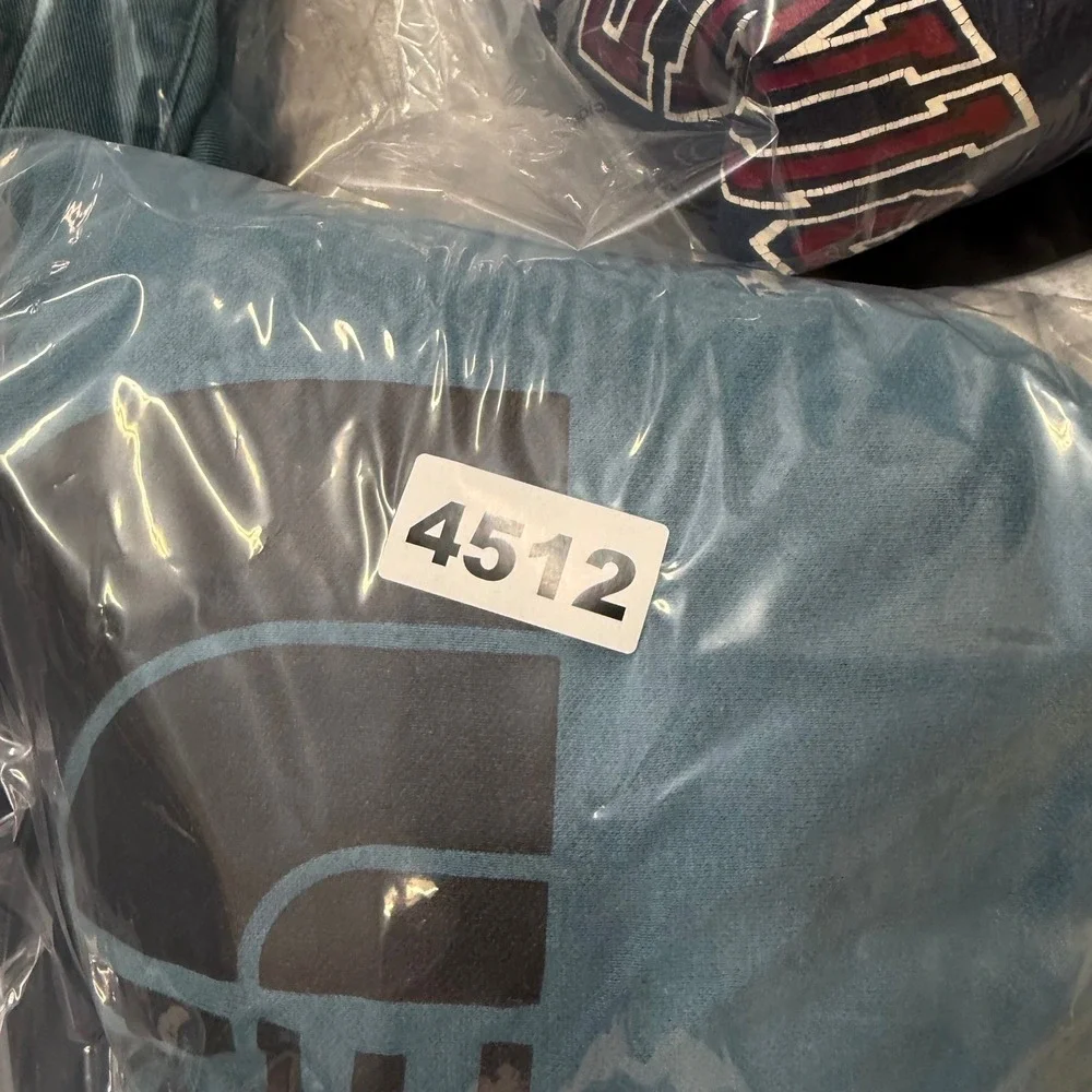 The North Face Mens Blue Logo‎ Pullover Hoodie Fleece Sweatshirt Small 4512